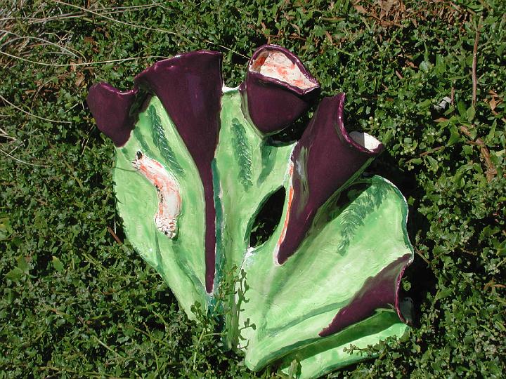 sidepurplegreenlily.jpg - Purple Lily  12"