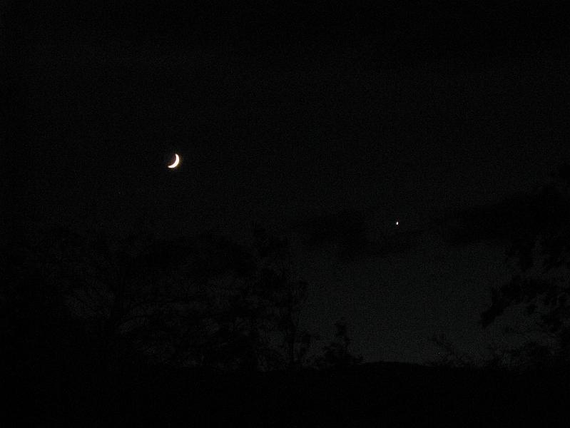 IMG_1627.JPG - Moon and Venus Nov 1 2008.