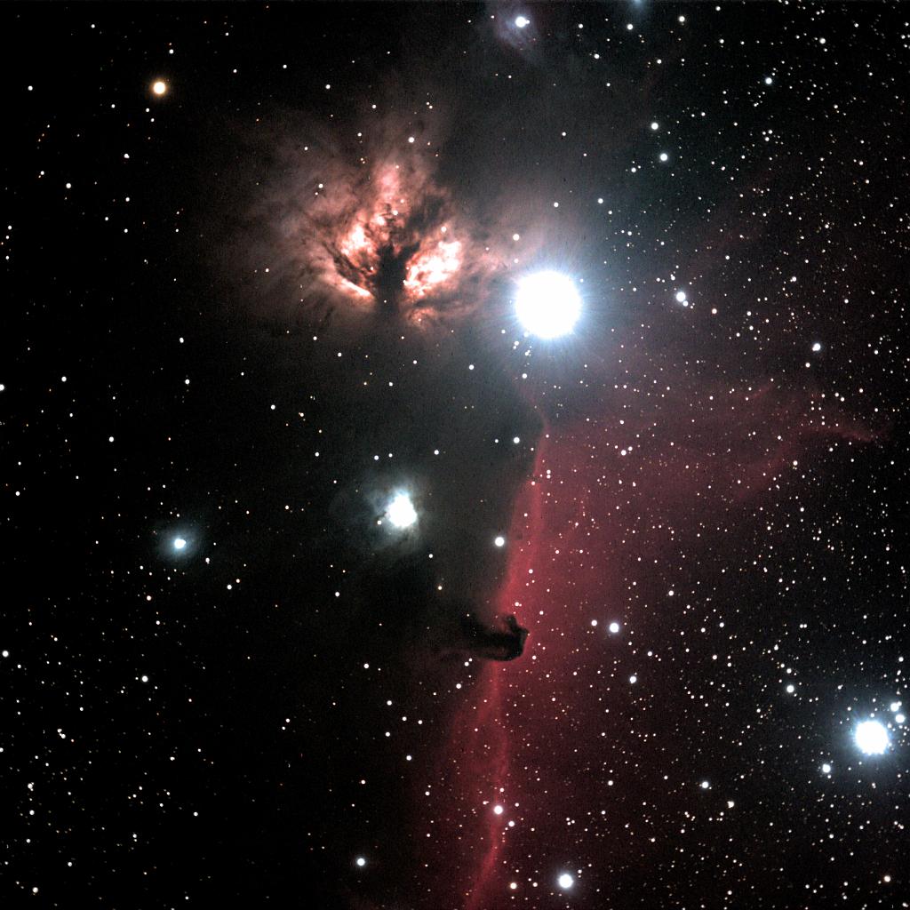 The Flame and the Horsehead in Orion