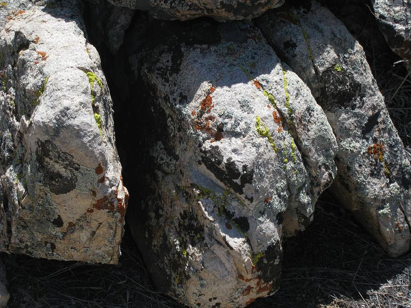 IMG_6216.JPG - Lichen on white monzonite granite blocks