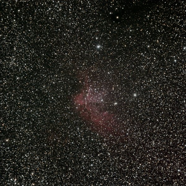 ngc7380-3x15min.jpg - Jane observed this nebula NGC7380 in her 17-inch, and I had to see what I could catch. It's an emission nebula with an open cluster.