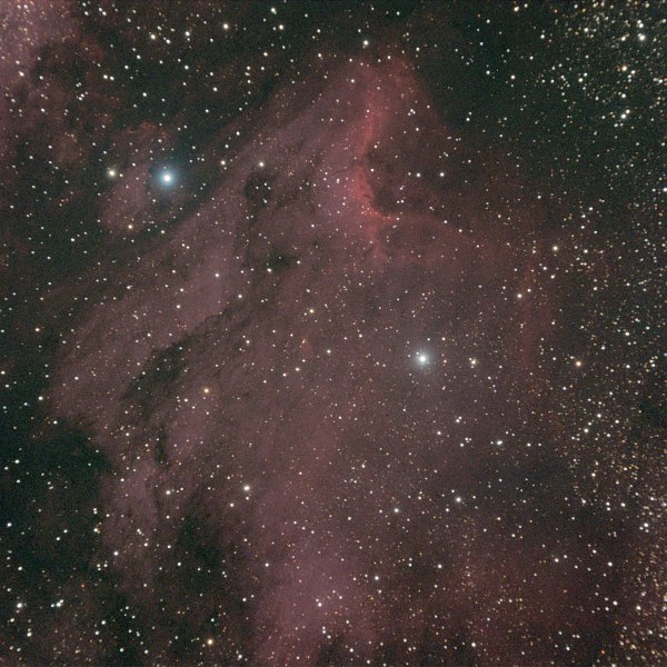 pelican-1x15min.jpg - My first effort at the famous Pelican nebula in Cygnus.