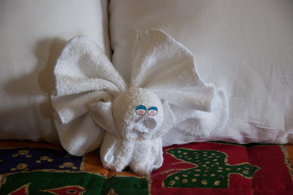IMG_7113.jpg - A washcloth birdie left on our bed by housekeeping.