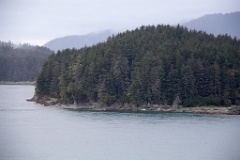 Islands near the entrance to Endicott Arm.