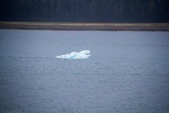 One of our first picturesque icebergs, cruising into Endicott Arm.