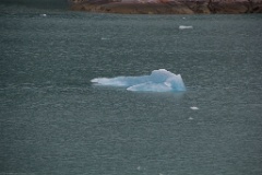 The forklift iceberg.