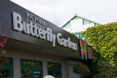 Victoria Butterfly Gardens.