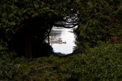 The gardeners set up a view port through the plants of the boat dock, Butchart Gardens.